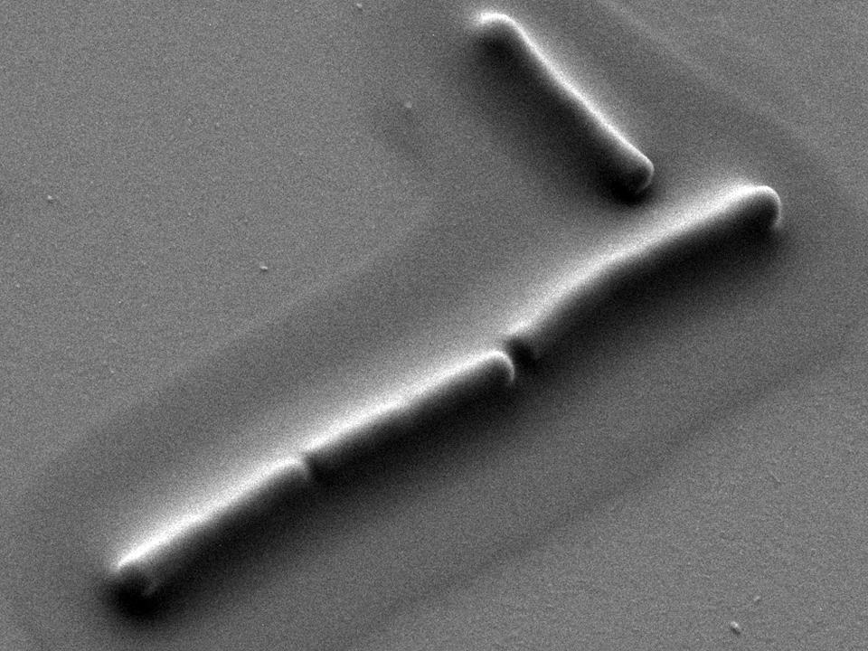 The invisible order behind planktonic drifter